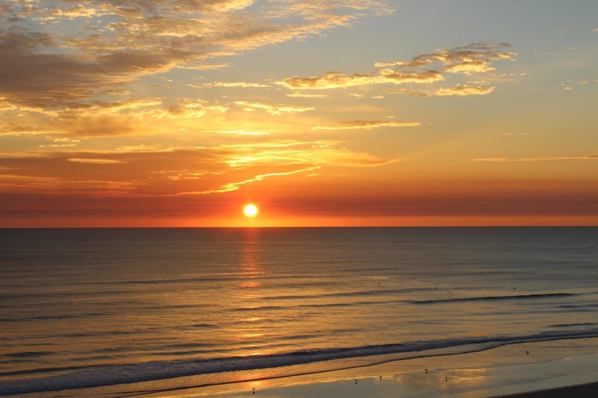 Sea Club IV Resort Daytona Beach Shores Eksteriør bilde